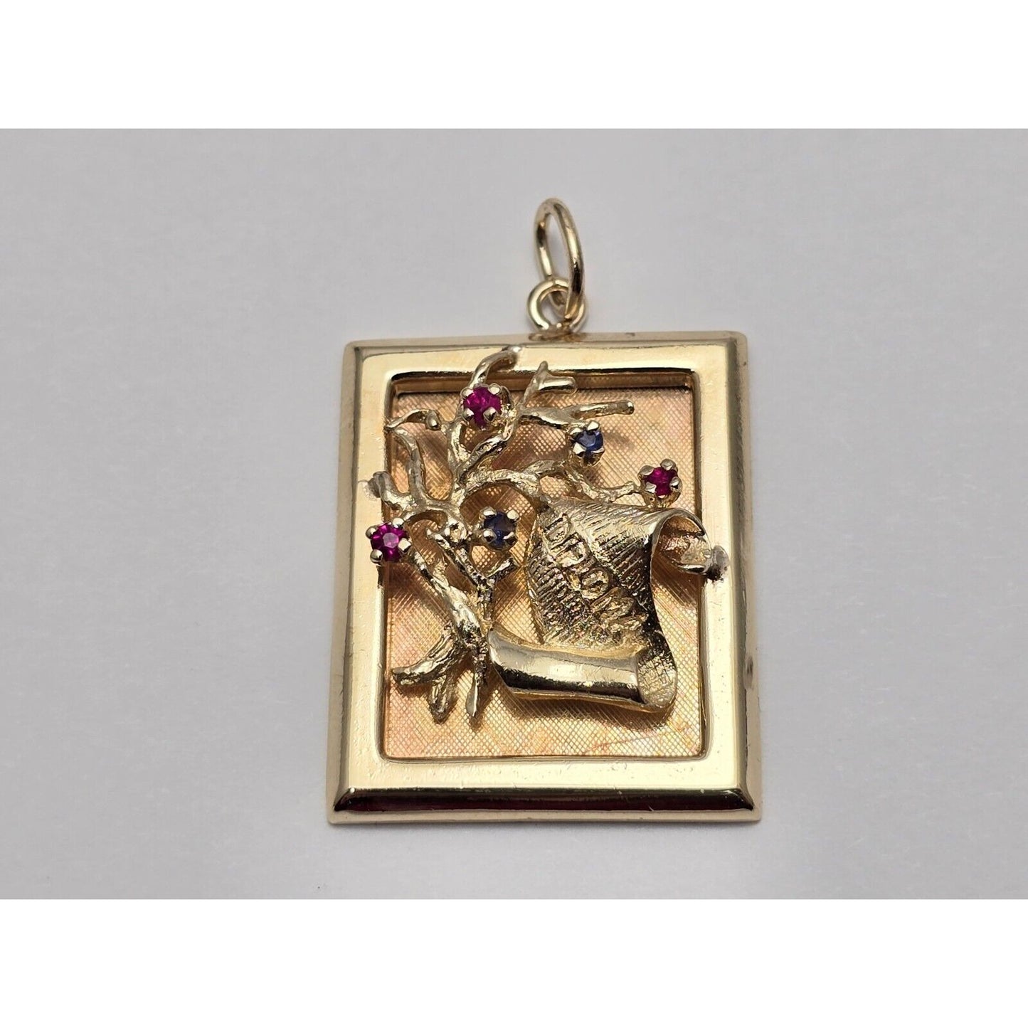 14K Yellow Gold Ruby & Sapphire Diploma Graduate Square Charm Pendant