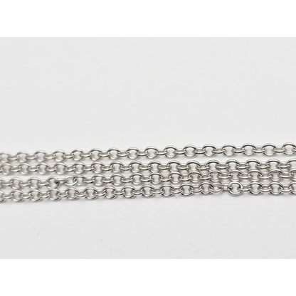 14K White Gold Cable Link Chain Necklace & Diamond Horseshoe Charm Pendant